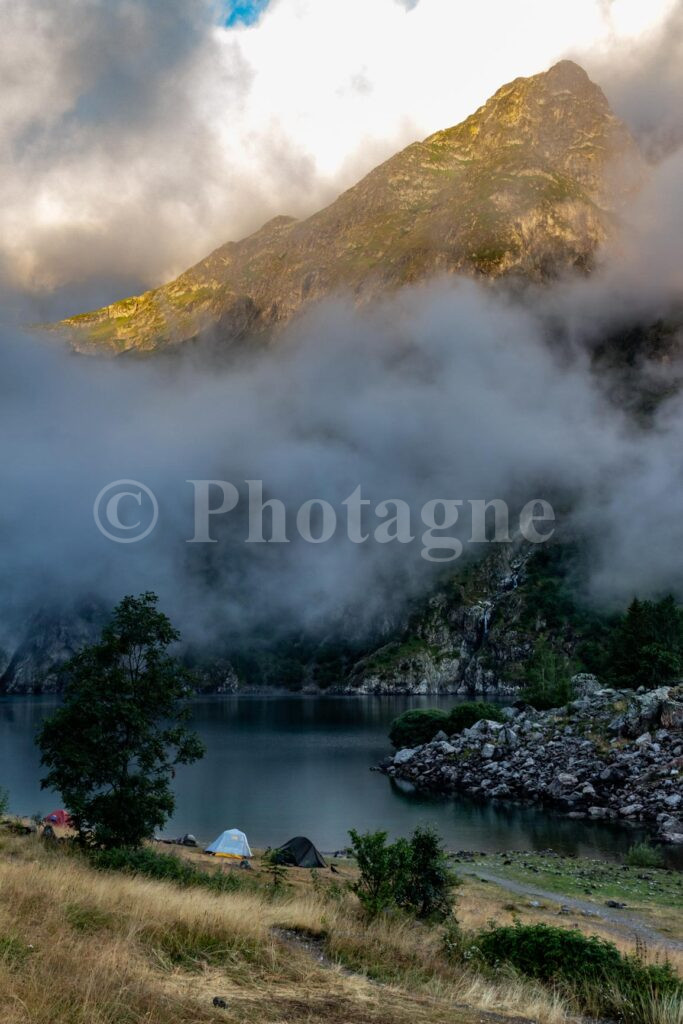 Lauvitel au matin