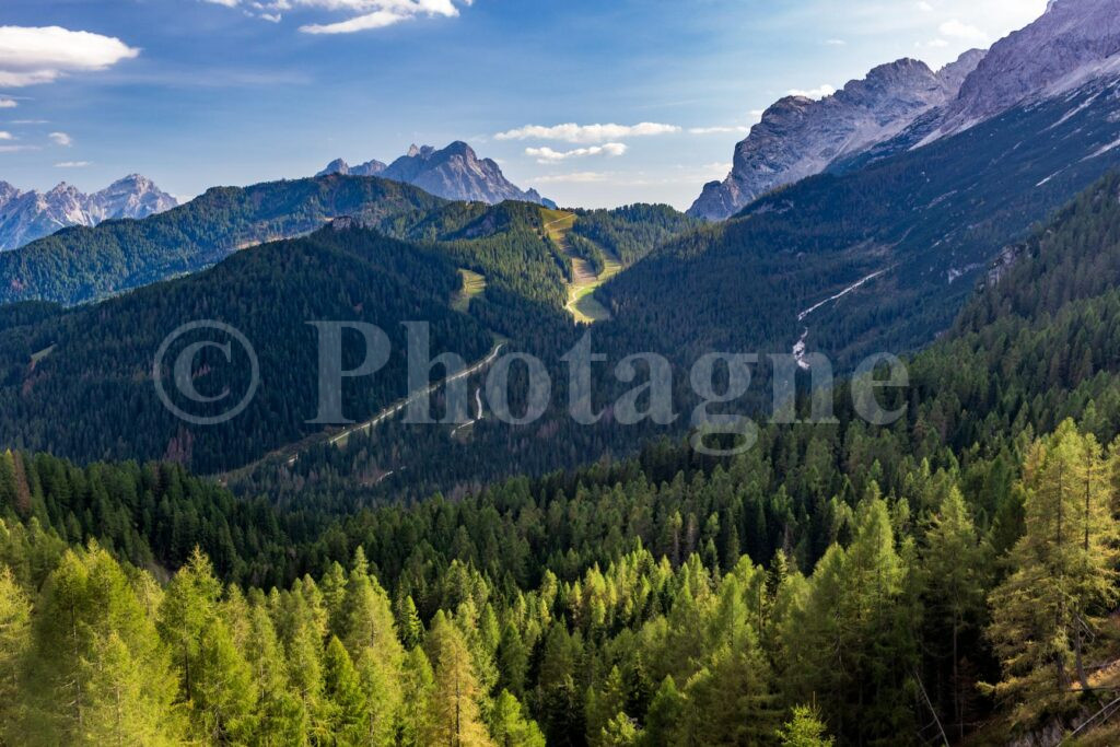 Forêts dolomitiques