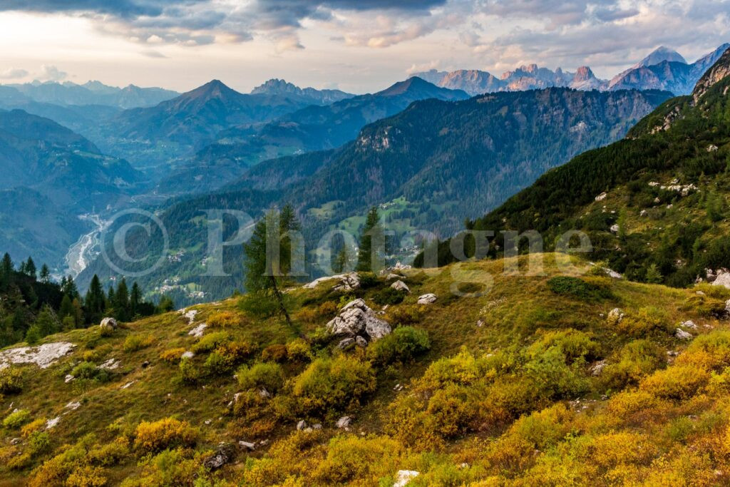 Matin près du bivouac