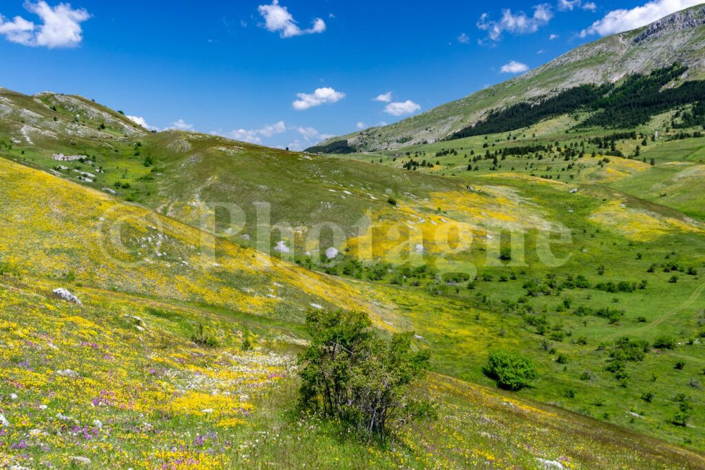Primi alpeggi nel trekking del Gran Sasso